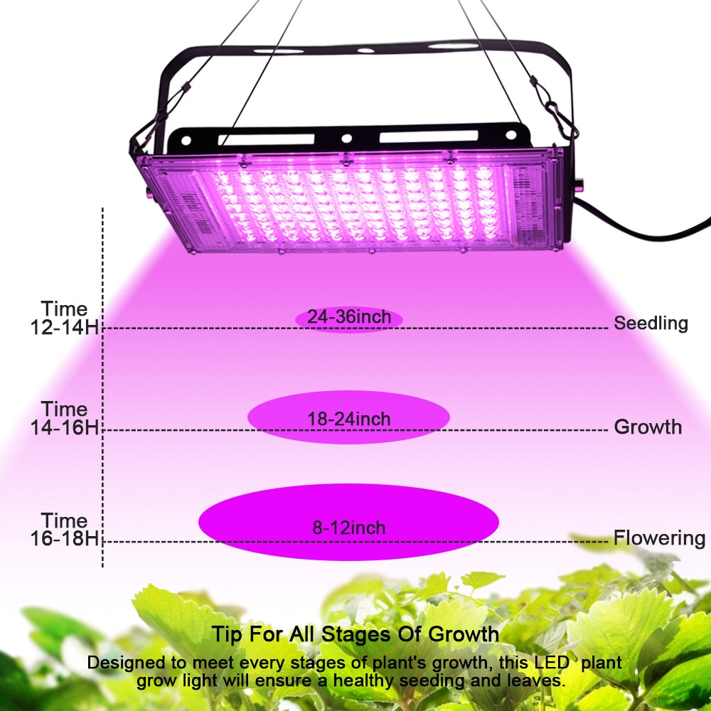 Indoor/Outdoor Full Spectrum LED Phyto Lamp Growth Light For Plants And FLowers