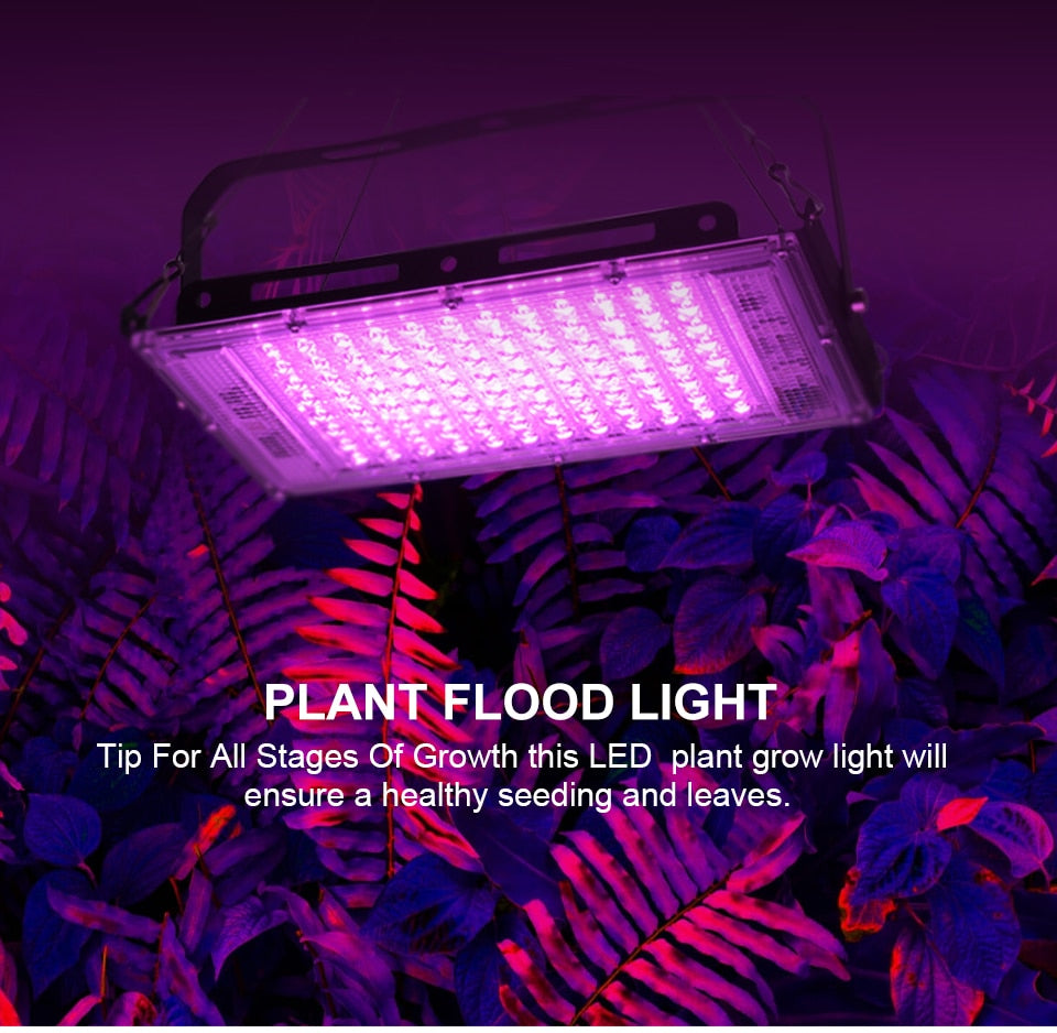 Indoor/Outdoor Full Spectrum LED Phyto Lamp Growth Light For Plants And FLowers