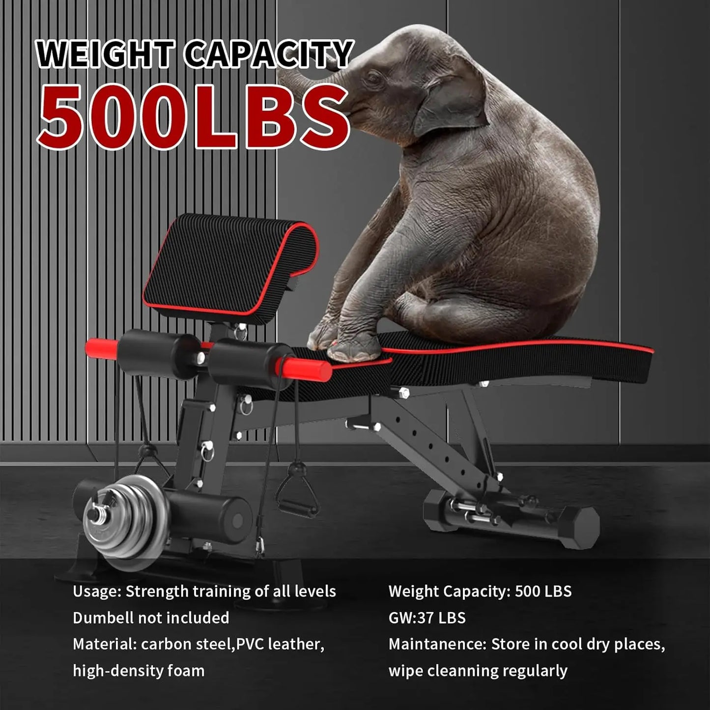 Adjustable Weight Utility Workout Bench Foldable Incline Decline for Home Gym Full Body Weight